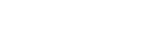 Norsk Interaktiv
